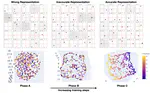 Do Diffusion Models Learn Semantically Meaningful and Efficient Representations?