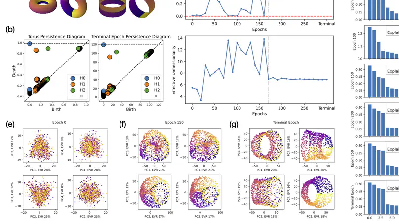 How Diffusion Models Learn to Factorize and Compose