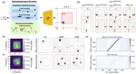 Compositional Generalization via Forced Rendering of Disentangled Latents